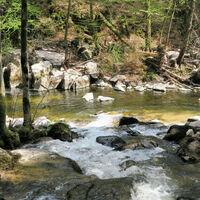 An der Höllbachmündung.