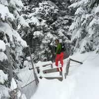 Höhenwanderung Am Gaberl