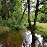 Romantischer Schwarzbach