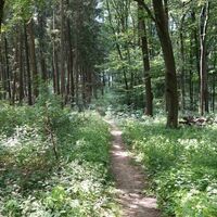 Der Pfad führt uns in Richtung "Dschungel"