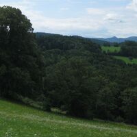 am Weg zum Kreuzwirt