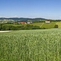 Sagenhafter 4/4-Blick