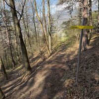 Hier dann bitte Obacht: Links owe gehts weiter