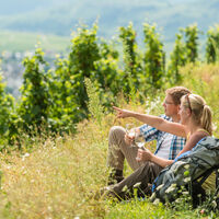 Moselsteig - Wein und Wandern