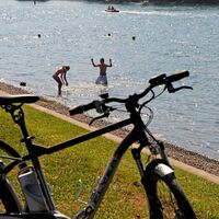 Erfrischendes Bad im Rhein