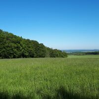 Moselsteig zwischen Wochern und Sinz