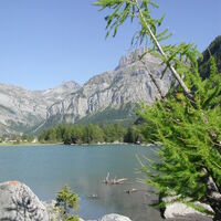 Lac de Derborence