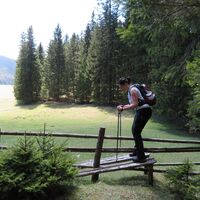 Rohrbachgraben -- Bodenwiese auf der Gahns