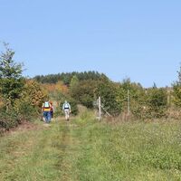 Wanderer im Wartekopf
