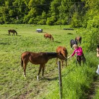 Tierische Begegnungen am Wanderweg