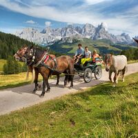 Pferdekutsche Richtung Malga Bocche
