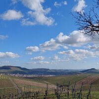 Stiftsberg - Blick nach Osten
