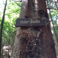 Hoher Gallin Weg