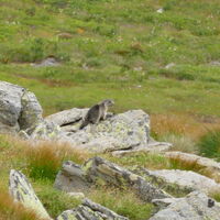 und dann doch noch eines erwischt