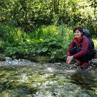 Grabenrundweg Opponitz