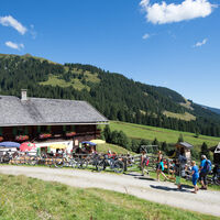 Baumgartenalm