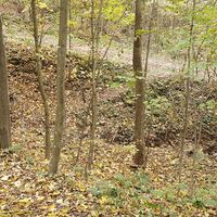 Forstweg rechts, dann wieder links