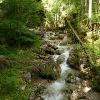 parallel zum Bach verläuft der Steig