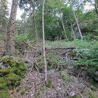steiler Abstieg vom Kleinen Peilstein