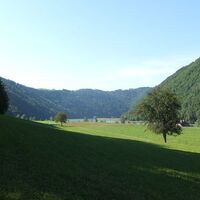 Donau nahe Au