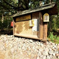Insektenhotel am Naturlehrweg