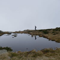 auch ein kleiner Teich bietet etwas Abwechslung