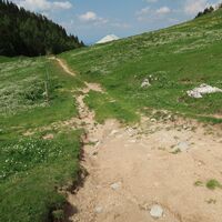 Weg bei Alp Gustiberg - Rundwanderung Gürbequelle