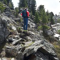 im leichten Blockwerk