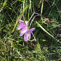 Montag, 21. Oktober 2019, 15:08 Uhr