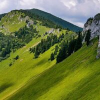 Die grüne Steiermark in den Mürzsteger Alpen