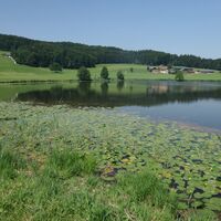 Egelsee Paltingmoos Mitteregelsee