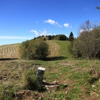 Die Staatsgrenze, hervorgehoben durch das Mähen des Grases