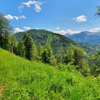 15.5 km Downhill Hanslreith mit Zeitschenberg
