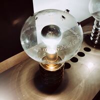 The Bulb