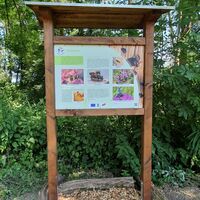 Station Wildbienen am Storchenwanderweg Winden