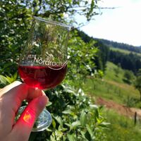 Ein Glas edler Likör von einem der Obstbrennerhöfe!