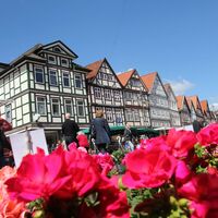 Wochenmarkt in der Uelzener Innenstadt