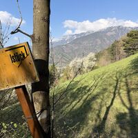 .. denn der auf der Karte eingezeichnete Pfad gradaus ist ein verbotener..