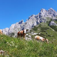 Going_Kleines Törl_Wilder Kaiser