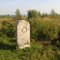 Historischer Grenzstein am Wanderweg W8 bei Willingen