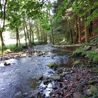 Naturweg entlang der Eyach