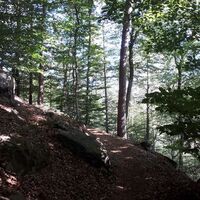 Aufstieg Richtung Weinbiethaus
