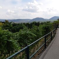 Abstieg Marterl Stein an der Donau