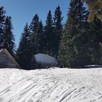 Drescherhütte (Jagdhütte)