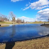 Seen im Unteren Schlosspark