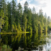 Ein Kleinod - der Kaltenbachsee