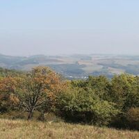 Ausblick vom Wartekopf