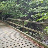 Bodennetz befahren, da Brücke bei Feuchtigkeit rutschig