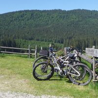 Ebenforstalm
