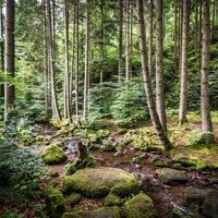 Hier kann man direkt in die wundervolle Natur eintauchen